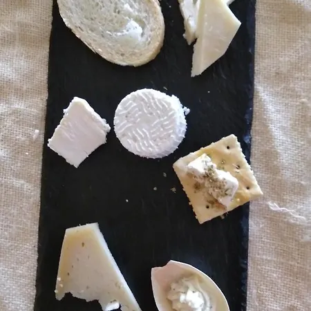 Fattoria Delle Milizie Farm stay