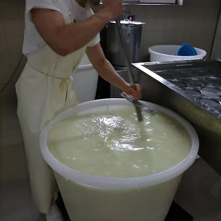 Fattoria Delle Milizie