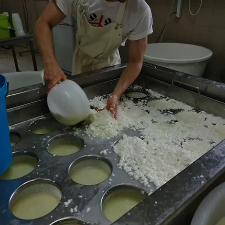 Fattoria Delle Milizie